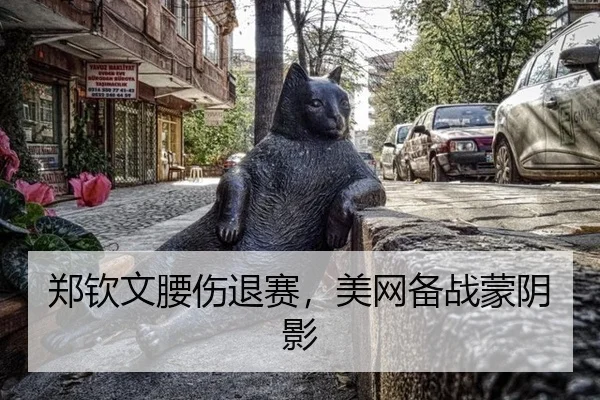 郑钦文腰伤退赛，美网备战蒙阴影